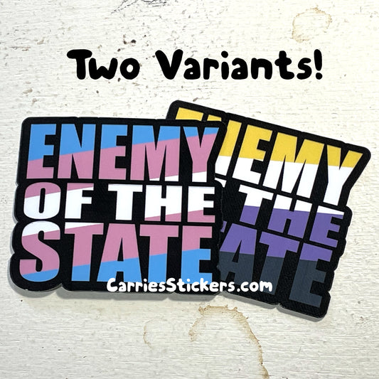 ENEMY of the STATE trans pride sticker