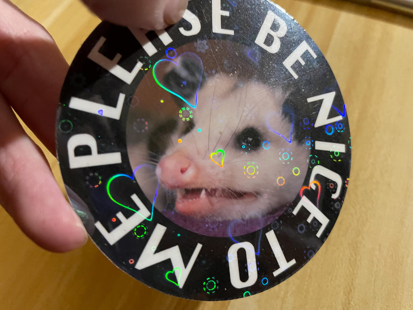 Please Be Nice To Me holographic sticker